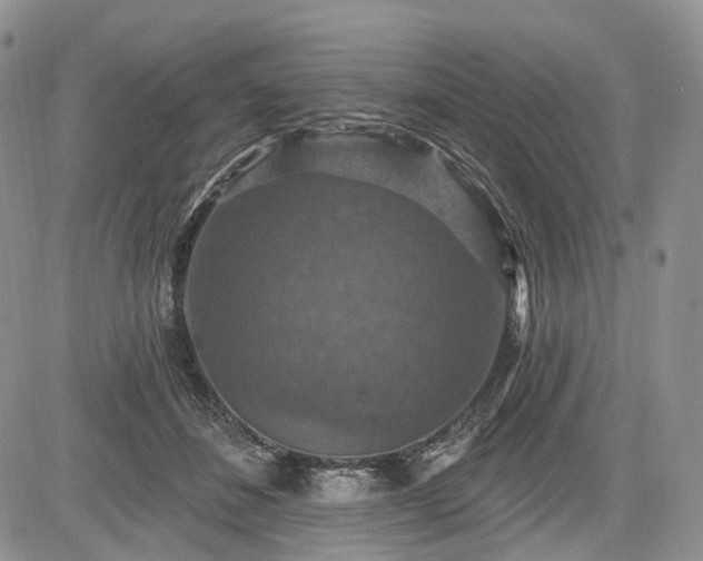 X0000085260508200703161407