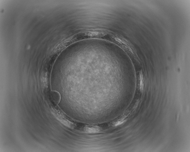 X0000085260510200703161407