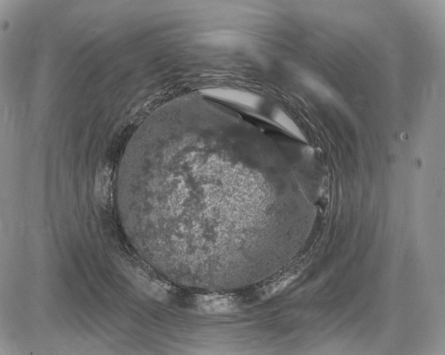 X0000085260511200703161407