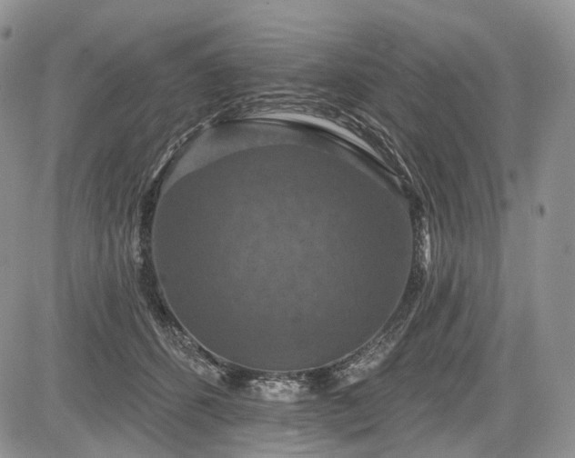 X0000085260512200703161407