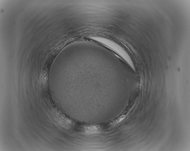 X0000085260513200703161407