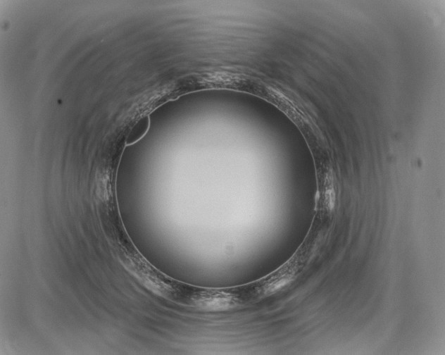 X0000085260514200703161407