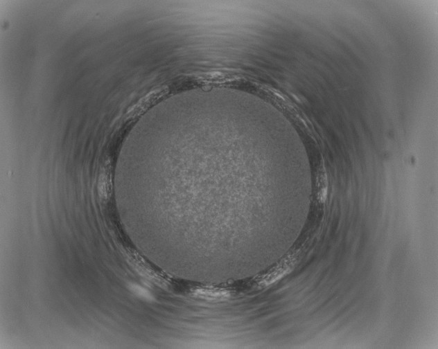 X0000085260515200703161407