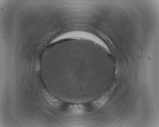 X0000085260517200703161407