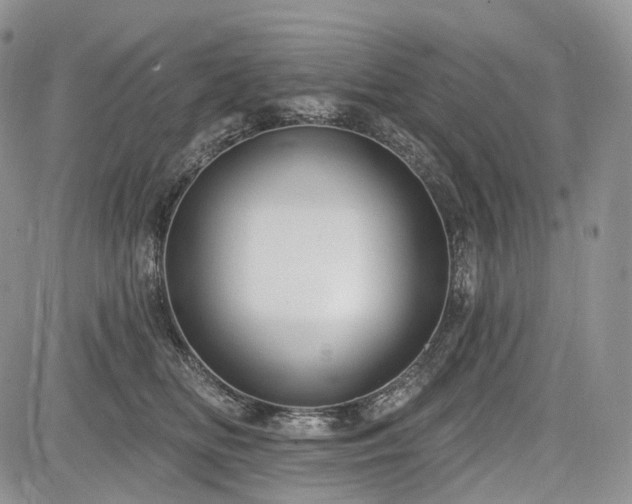 X0000085260518200703161407