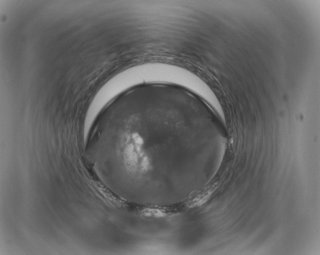 X0000085260519200703161407