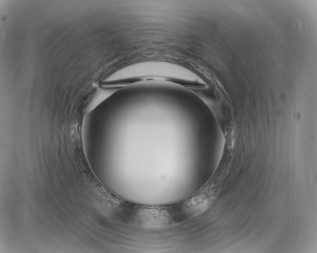 X0000085260521200703161407