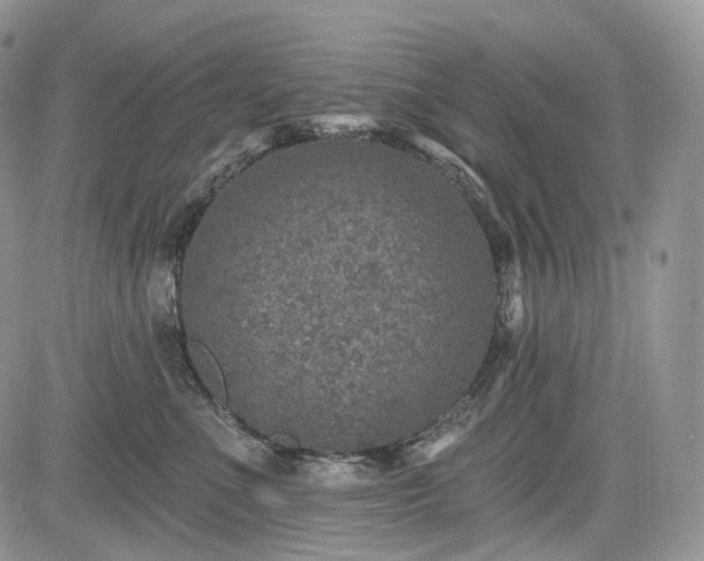 X0000085260523200703161407