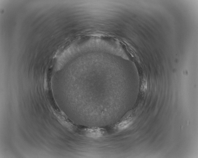 X0000085260524200703161407