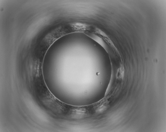 X0000085260525200703161407