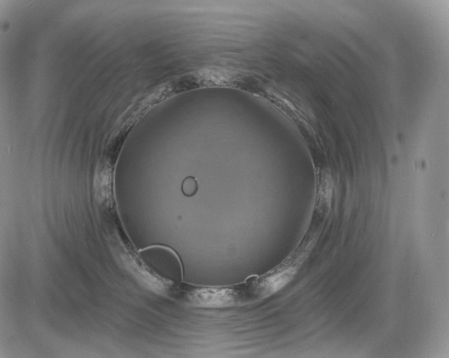 X0000085260526200703161407