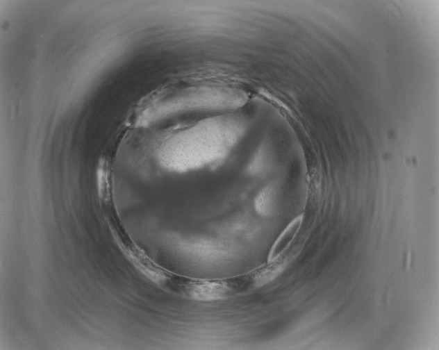 X0000085260527200703161407