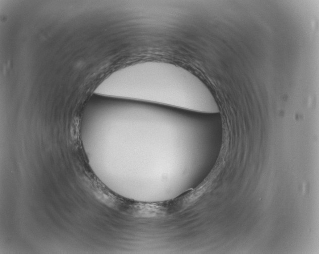 X0000085260528200703161407