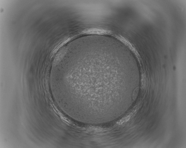 X0000085260529200703161406