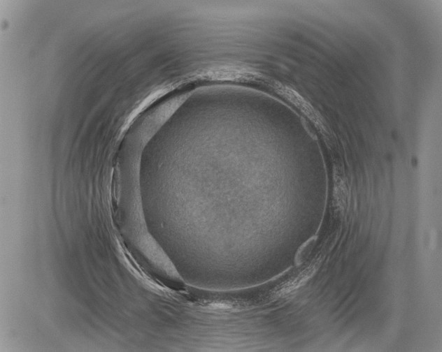 X0000085260530200703161406