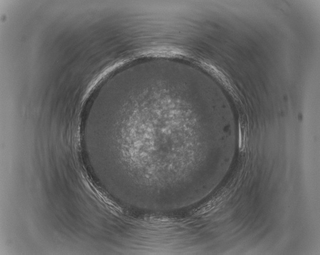 X0000085260531200703161406