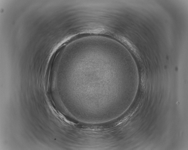 X0000085260532200703161406