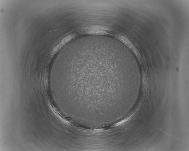 X0000085260533200703161406