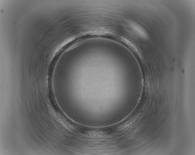 X0000085260535200703161406