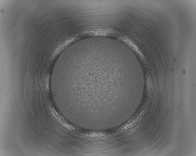 X0000085260537200703161406