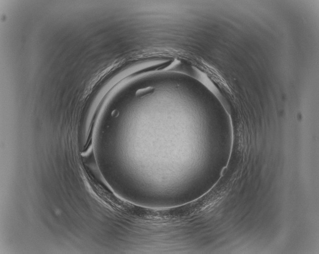 X0000085260538200703161406