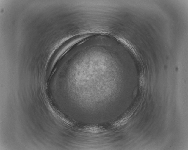 X0000085260540200703161406