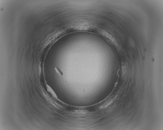 X0000085260541200703161406