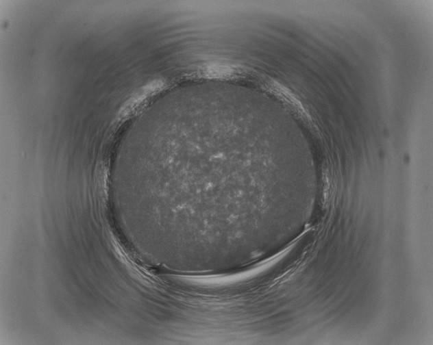 X0000085260542200703161406