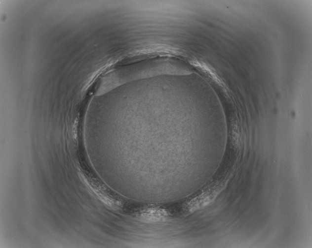 X0000085260543200703161407