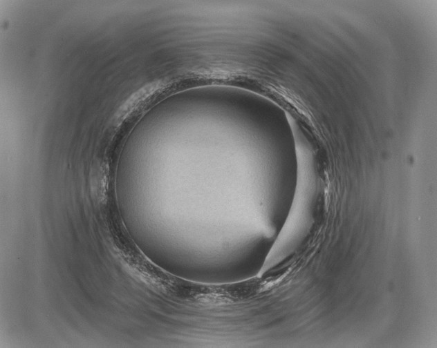 X0000085260544200703161407