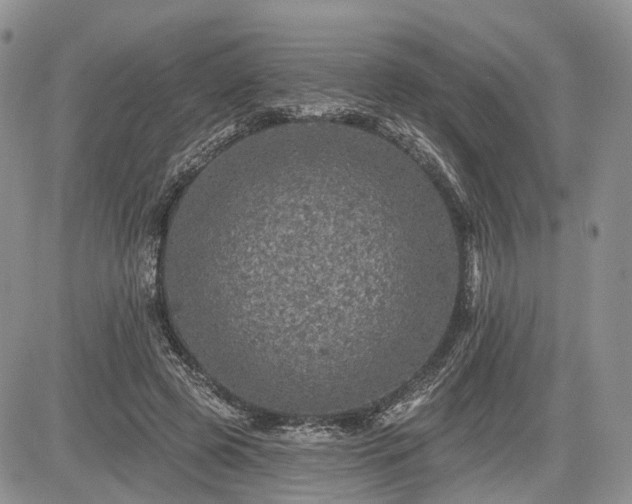 X0000085260545200703161407