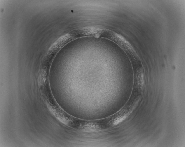 X0000085260546200703161407