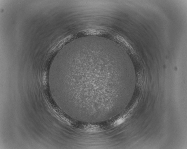 X0000085260549200703161407