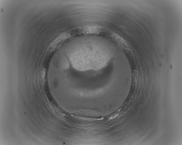 X0000085260550200703161407