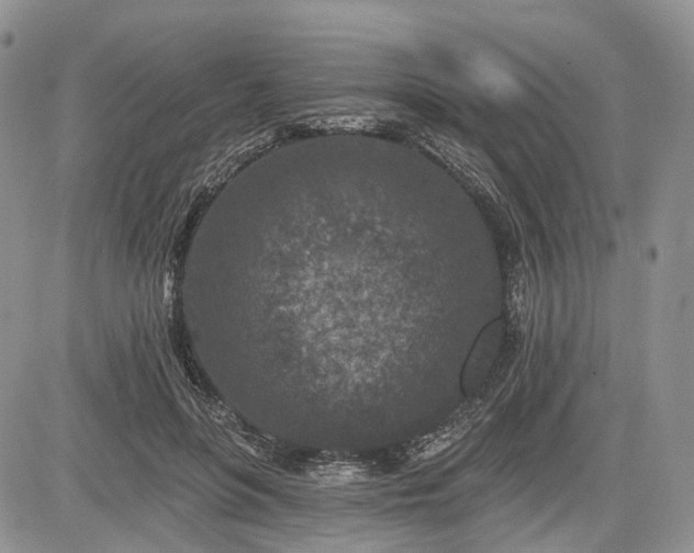 X0000085260551200703161407