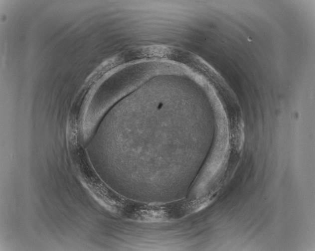 X0000085260552200703161407