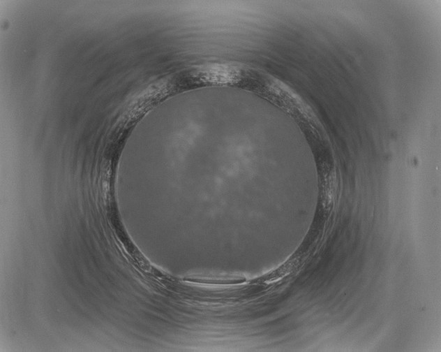 X0000085260553200703161407