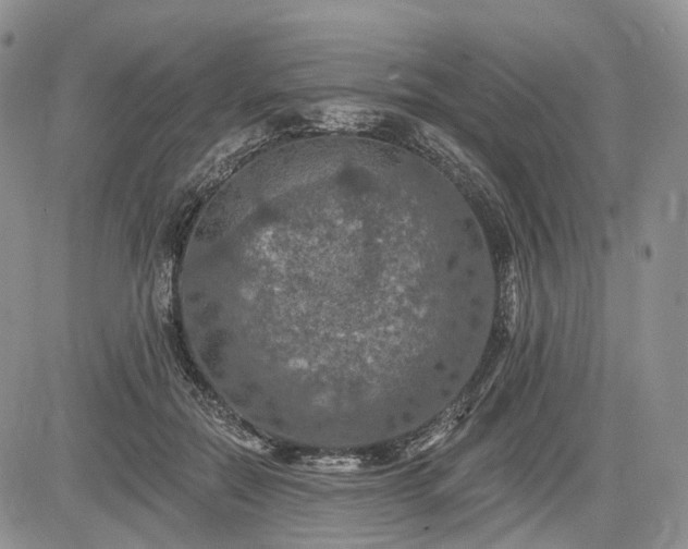 X0000085260554200703161407