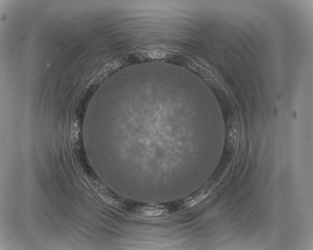 X0000085260555200703161407