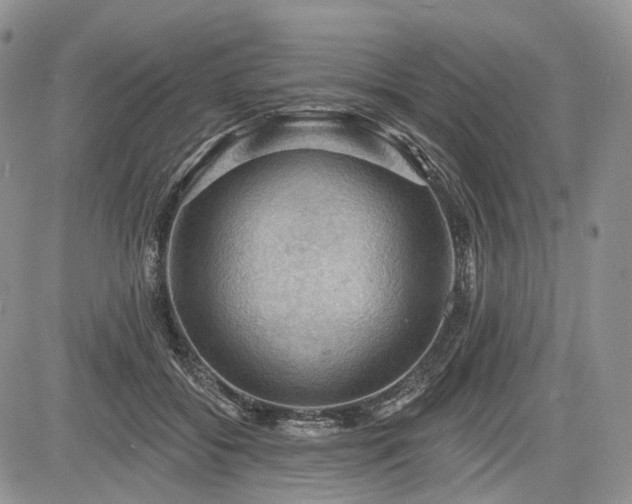 X0000085260556200703161407