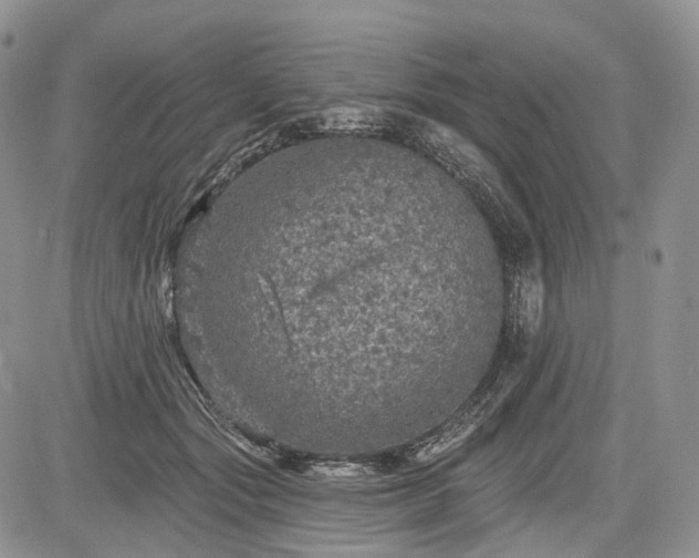 X0000085260557200703161407