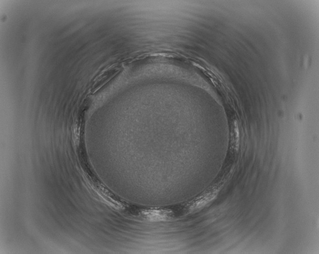 X0000085260558200703161407