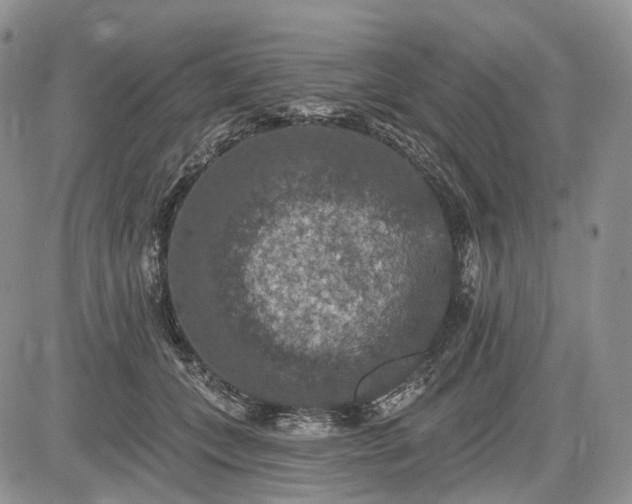 X0000085260559200703161407