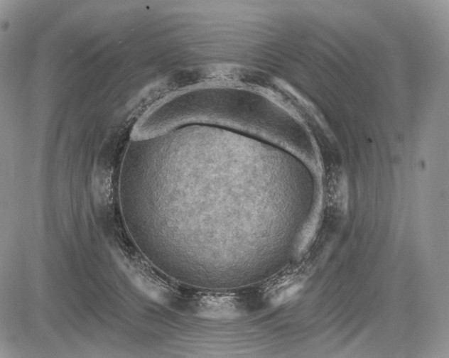 X0000085260560200703161407