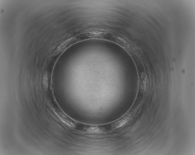 X0000085260562200703161407