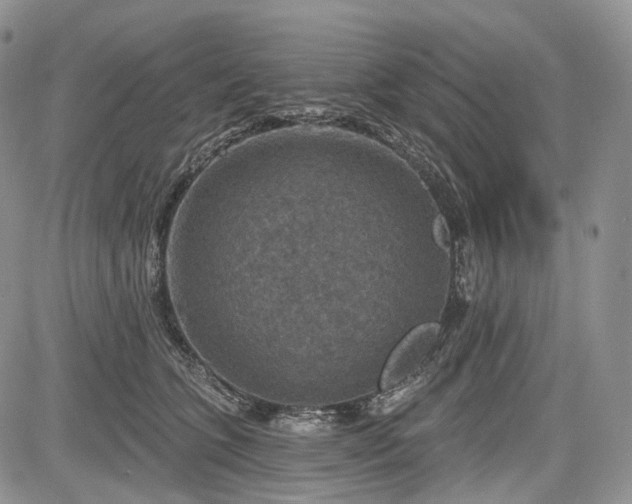 X0000085260563200703161407