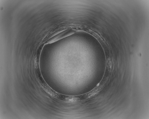 X0000085260564200703161407