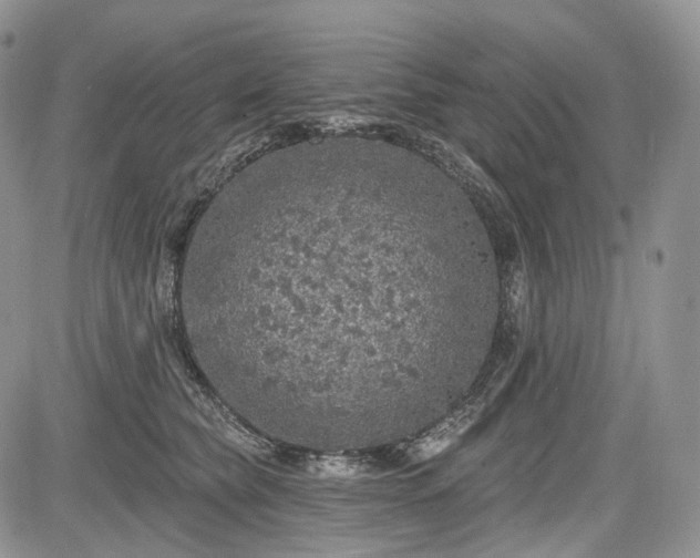 X0000085260565200703161407