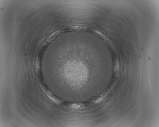 X0000085260566200703161407