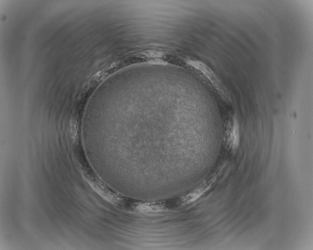 X0000085260568200703161407